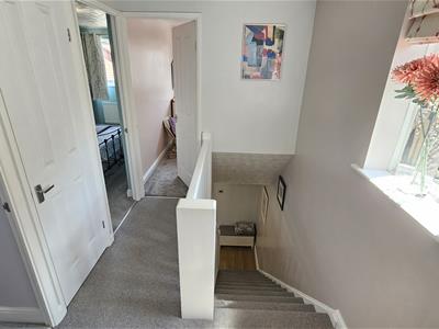 Picture 14
